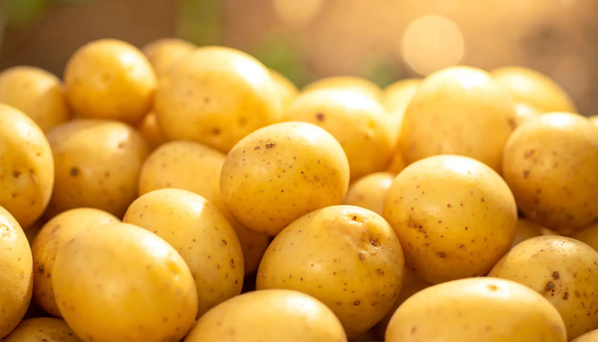 Aardappelen