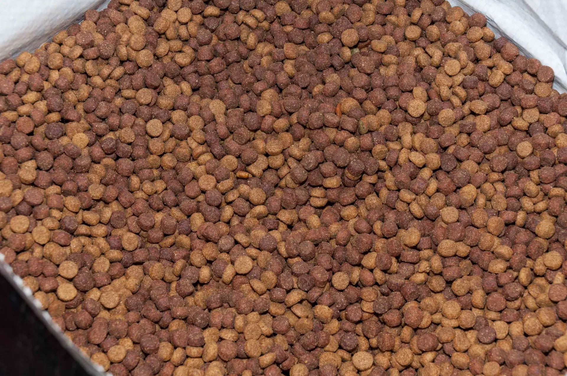 Petfood