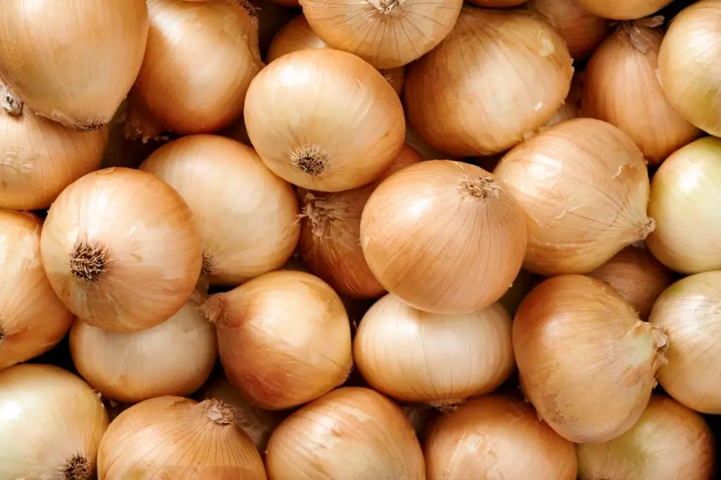 Uien