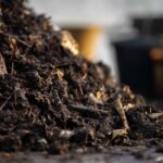 Compost